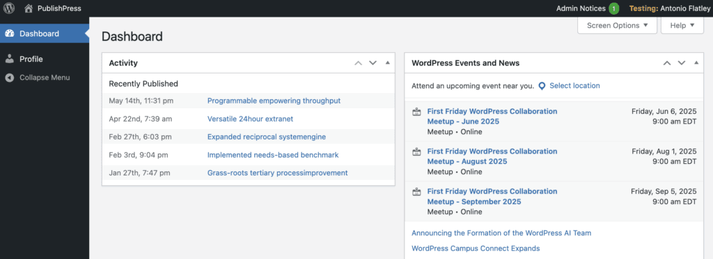 Subscribers WordPress dashboard