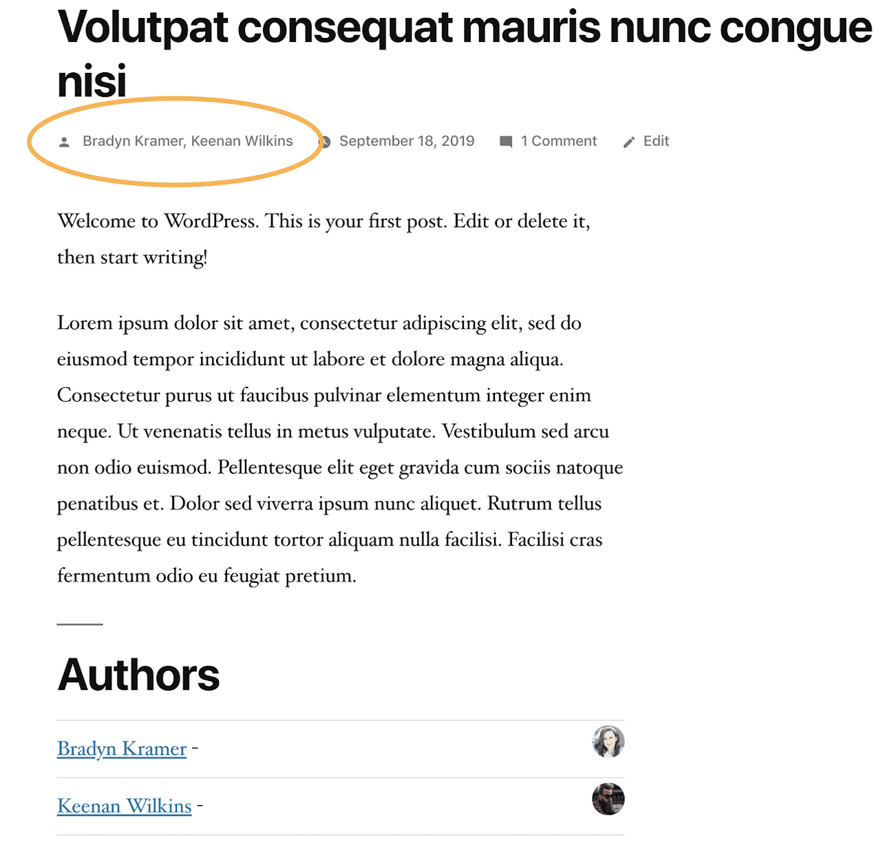 Multiple authors in main byline