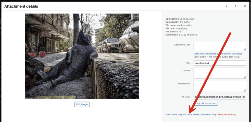 Edit more details for media