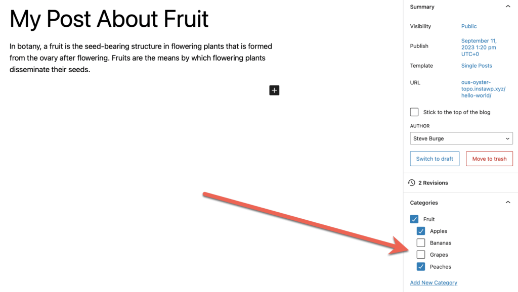 Add Categories to a WordPress post