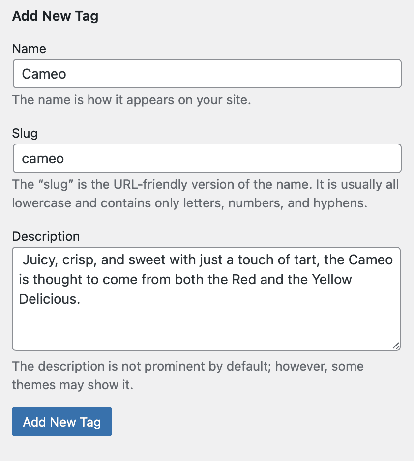 Adding a new tag in WordPress