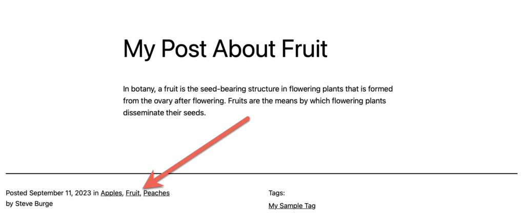View categories on a WordPress post