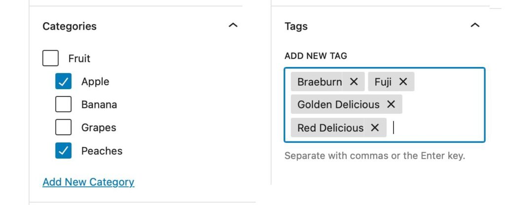 Adding Tags in the WordPress editor