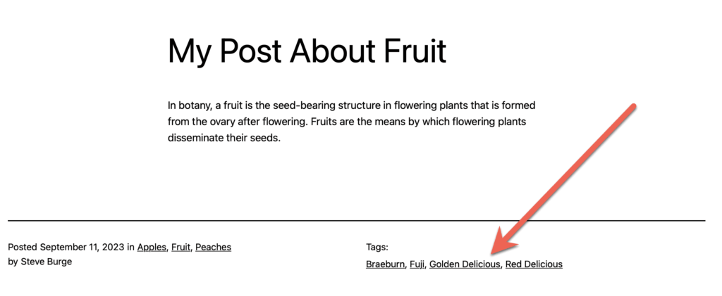 Tags visible on the WordPress frontend