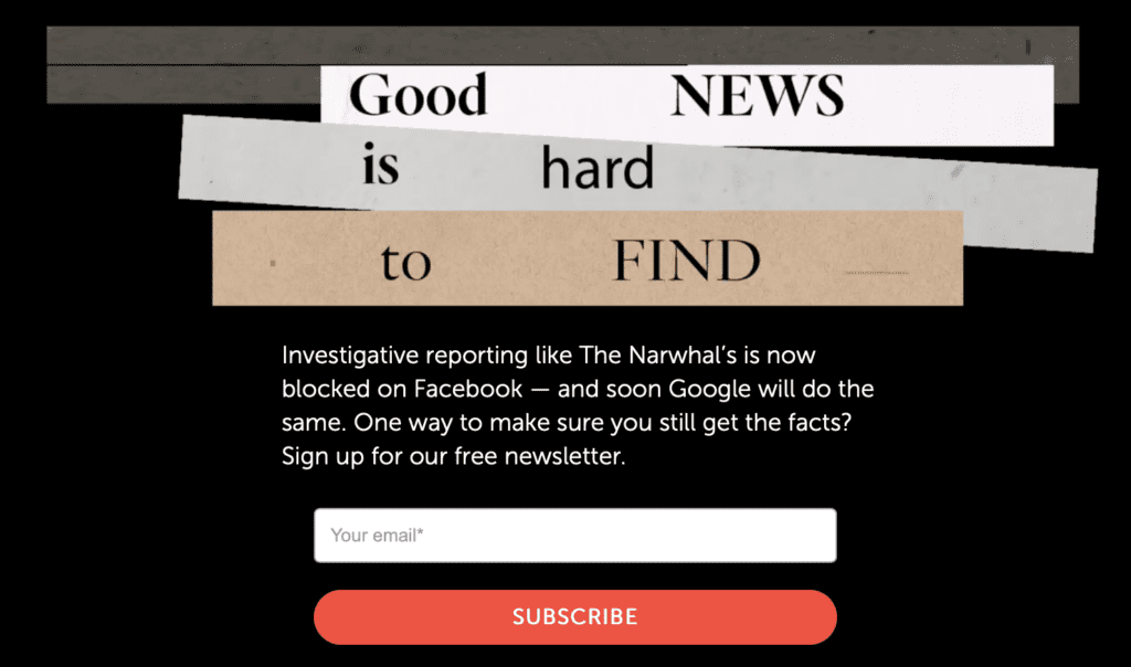 Narwhal newsletter