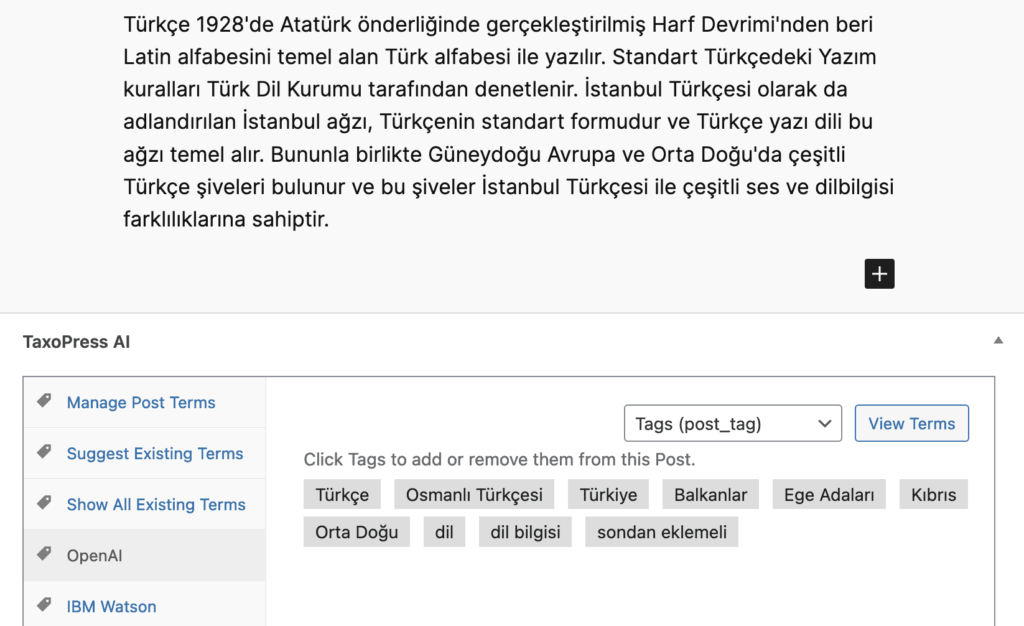 AI analysis of Wikipedia's article on the Turkish language
