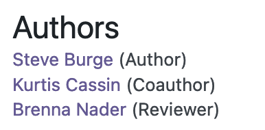 Preview of the Simple Name Author Block layout