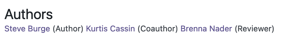 Preview of the Simple Name Author Inline layout
