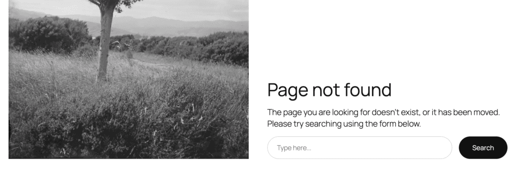 Page not found